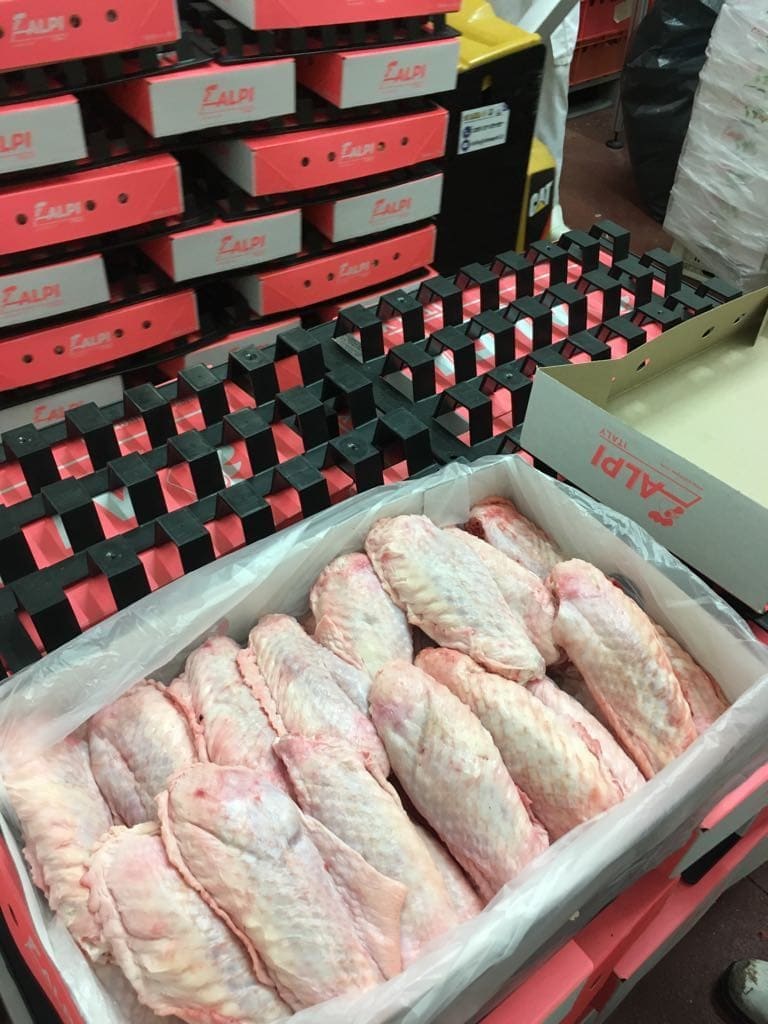 https://www.alpifood.com/wp-content/uploads/2019/02/fresh-turkey-mid-wings-Alpi-meat.jpg