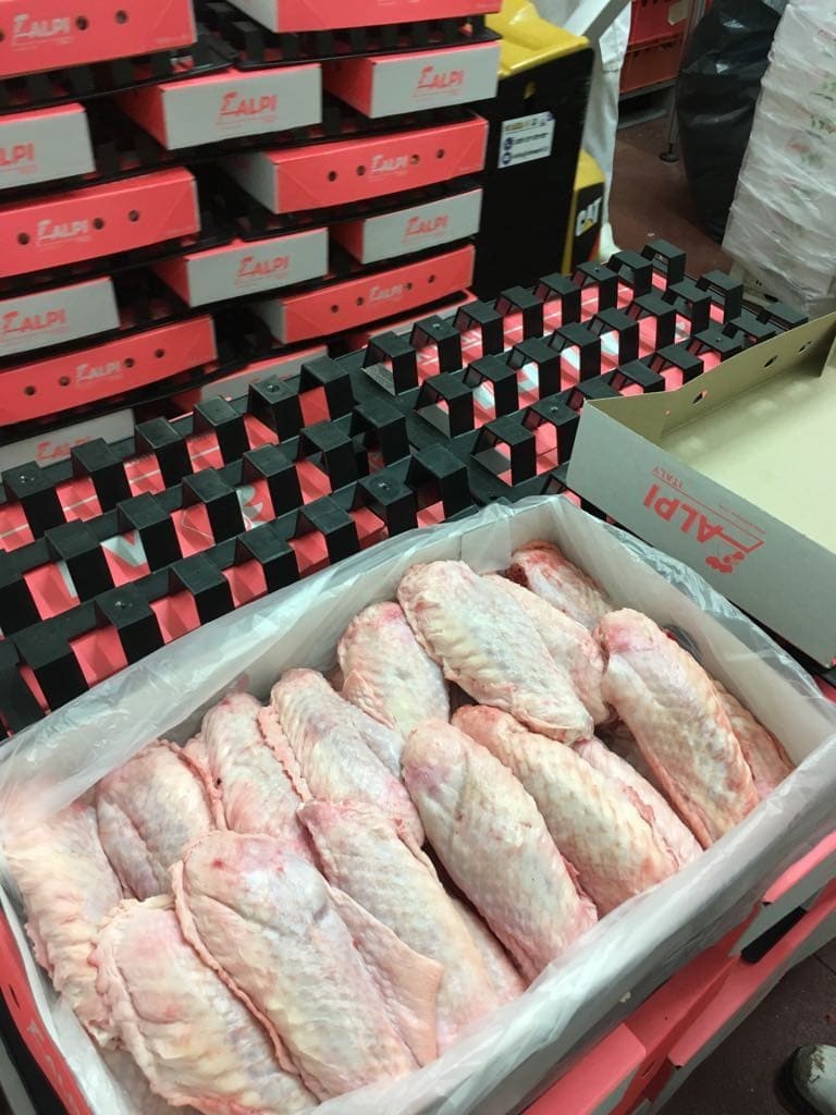 Fresh Turkey Wings 10kg